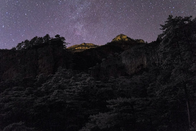 Philip Nikolaenko Philip Nikolaenko